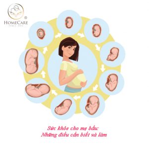 Sức khỏe cho mẹ bầu: Những điều cần biết và làm